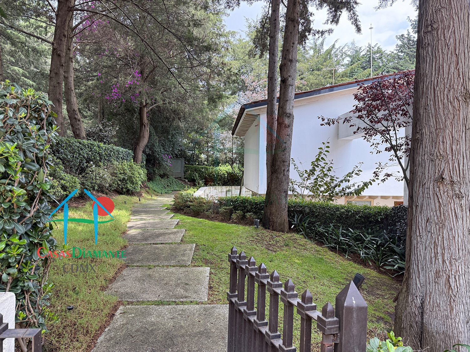 Rancho San Francisco Casa Encino - Acceso 6